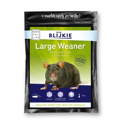 Large weaner rat( per 4 verp. )60-90 g.